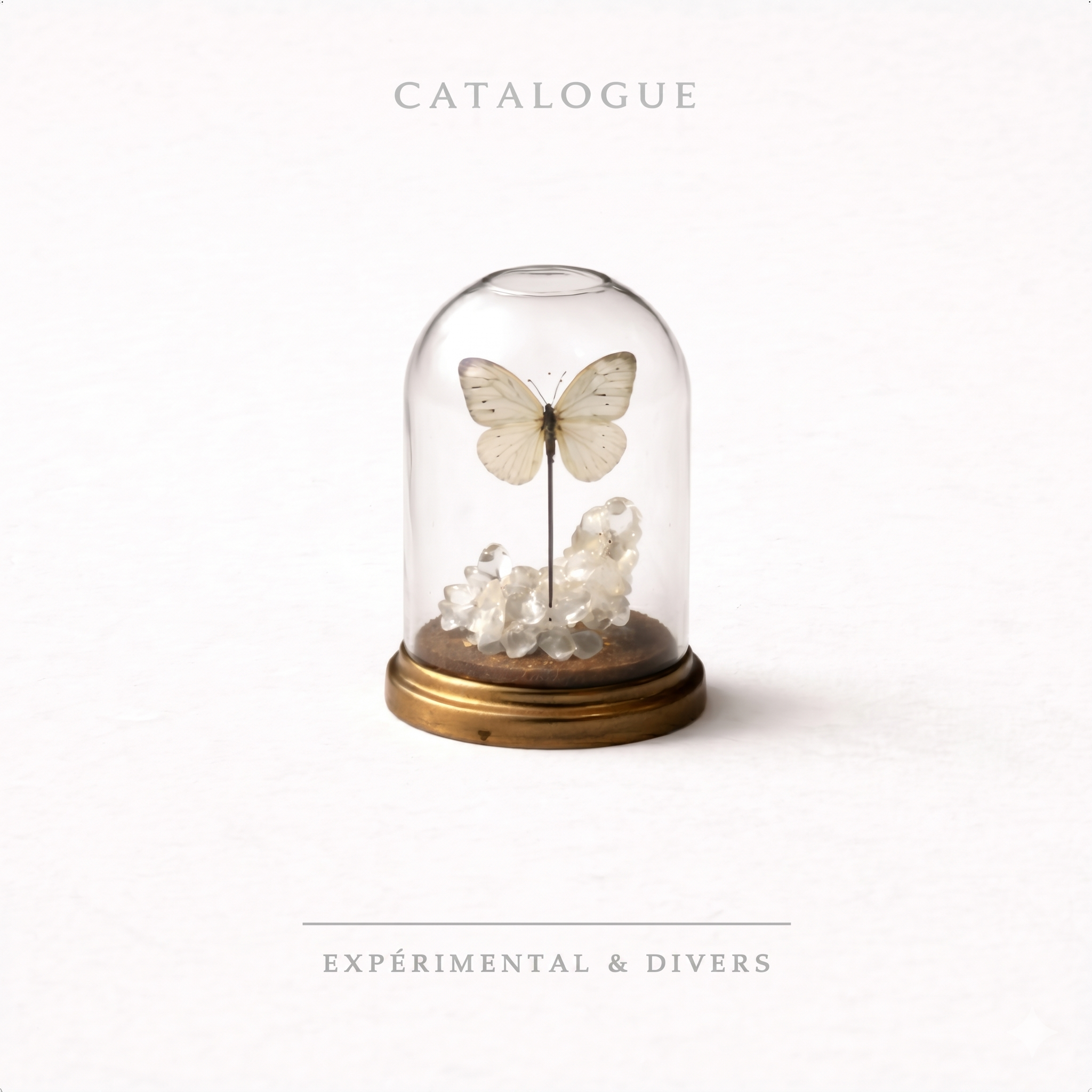 Catalogue : Expérimental & divers