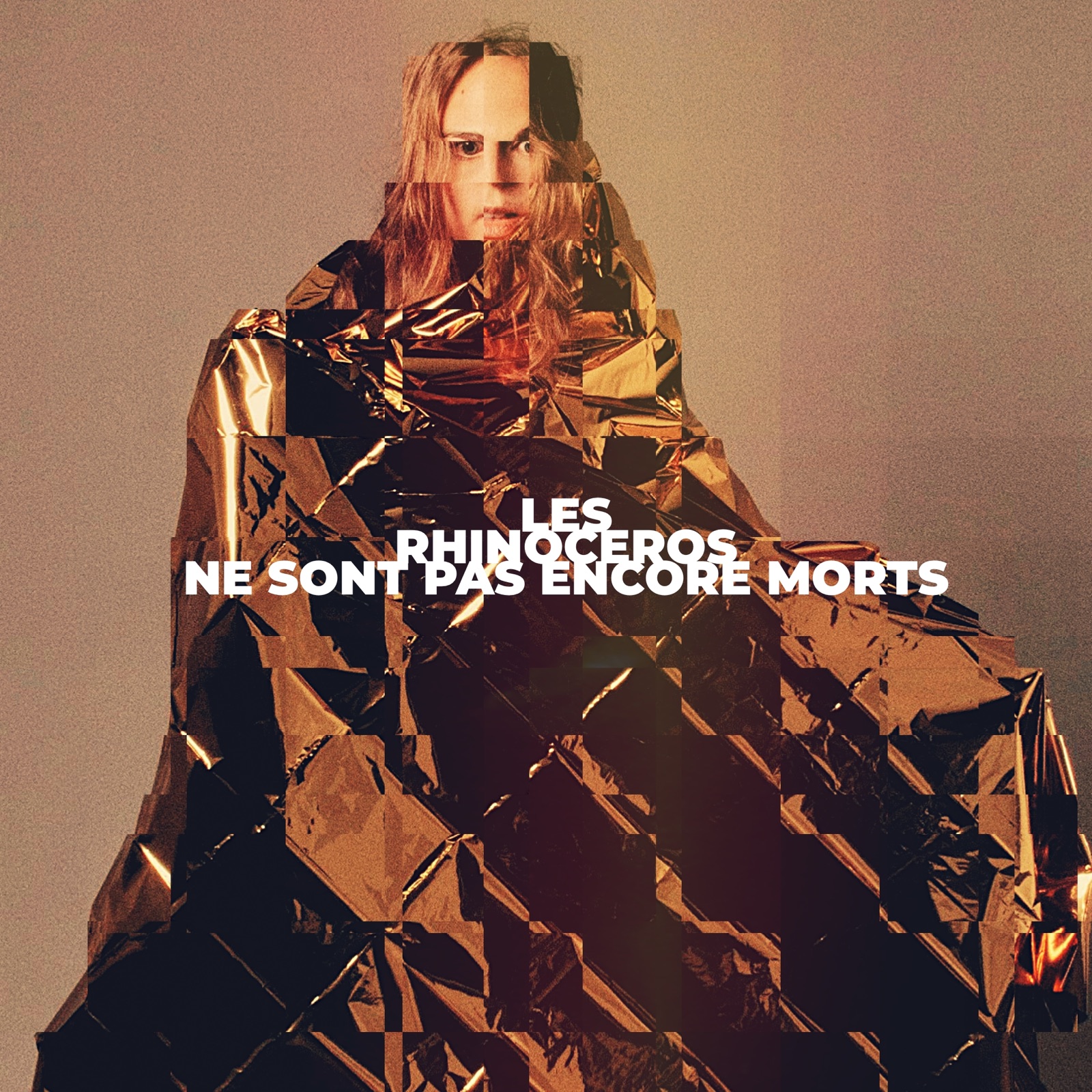 Les rhinocéros ne sont pas encore morts