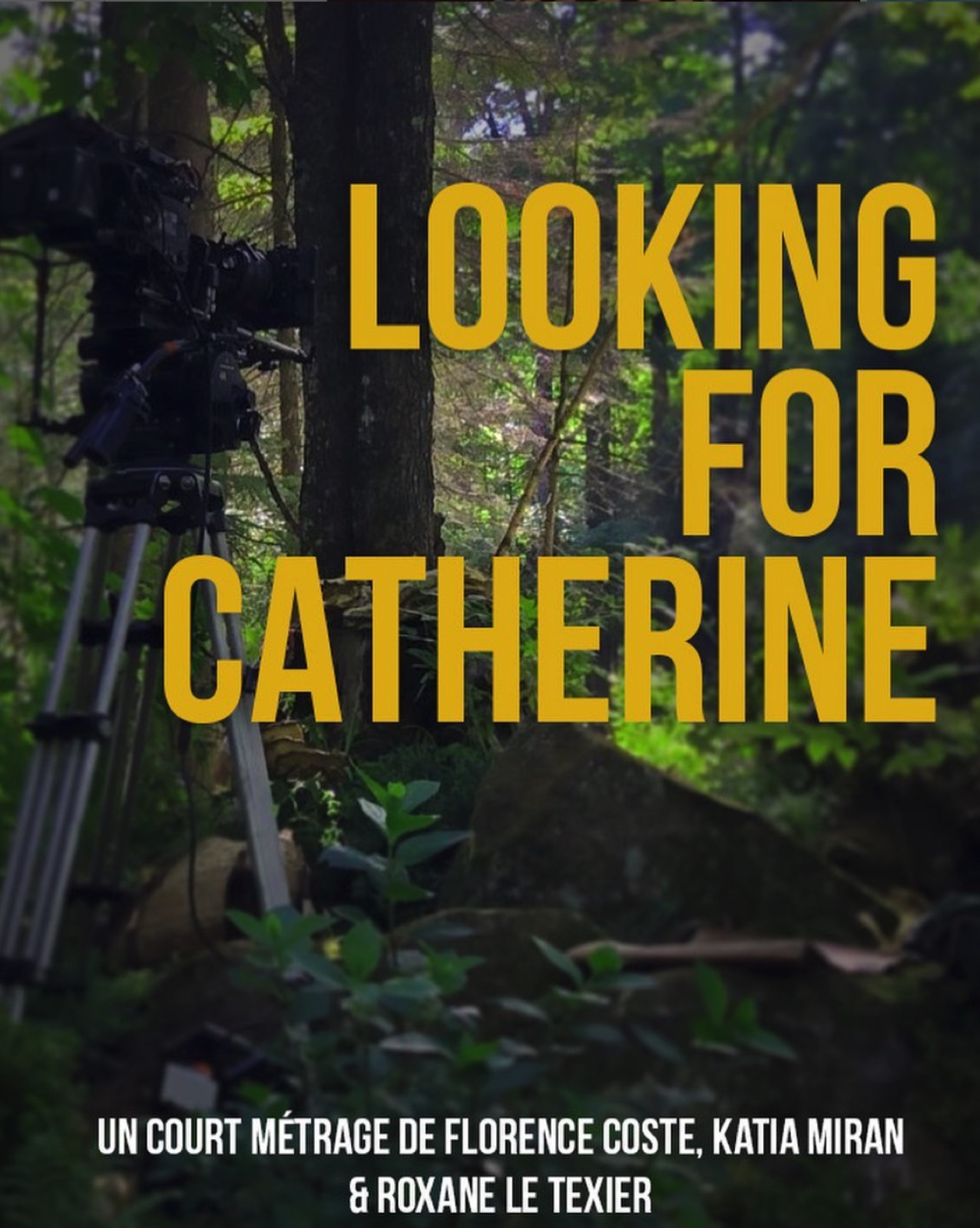 Looking for Catherine